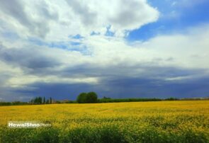 طبیعت زیبای روستای میرآباد اشنویه