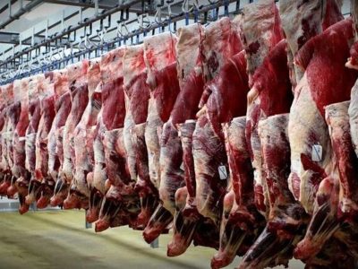 تولید گوشت در جنگ هم متوقف نشد