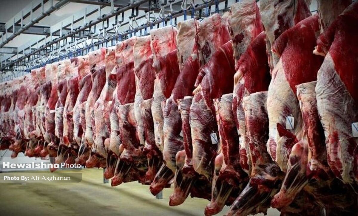 تولید گوشت در جنگ هم متوقف نشد